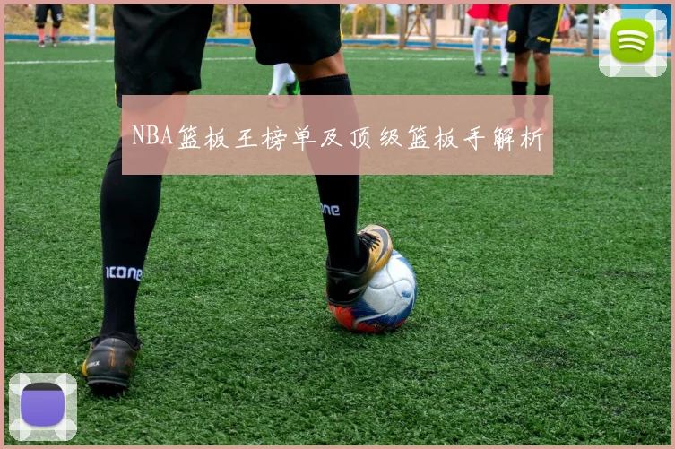 NBA篮板王榜单及顶级篮板手解析