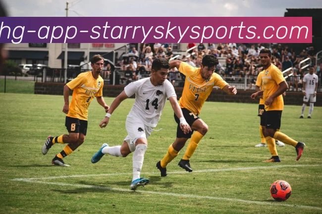 星空体育服务体系